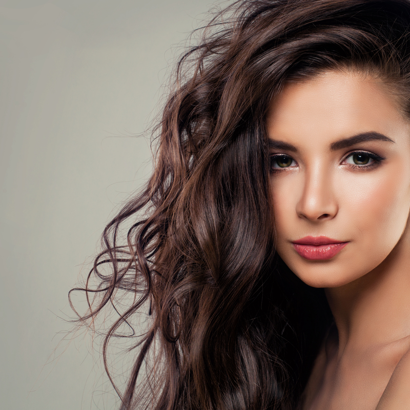 Young Brunette Woman Model with Perfect Hair and Makeup
